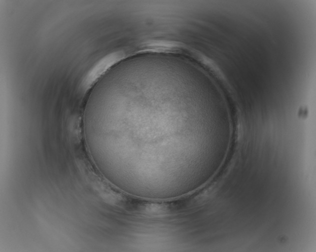 X0000113361362200909221149
