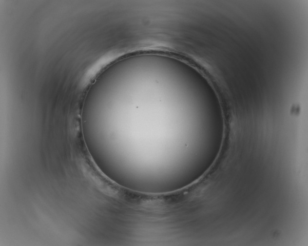 X0000113361363200909221149