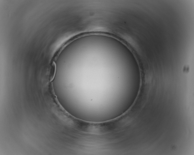 X0000113361364200909221149