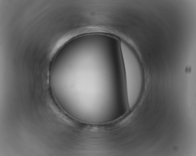 X0000113361365200909221149