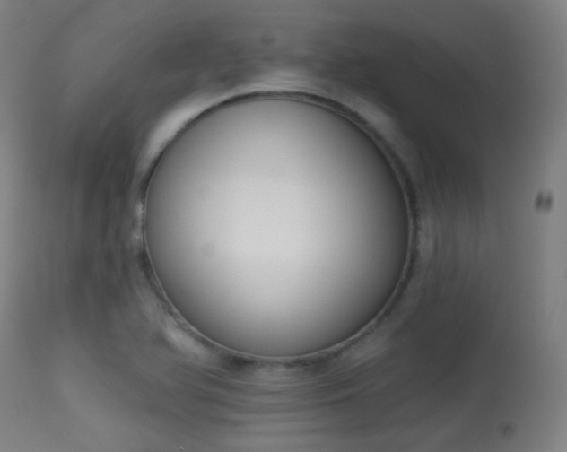 X0000113361366200909221149