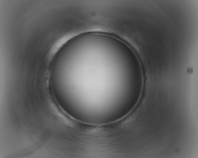X0000113361367200909221149
