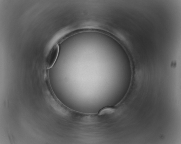 X0000113361368200909221149