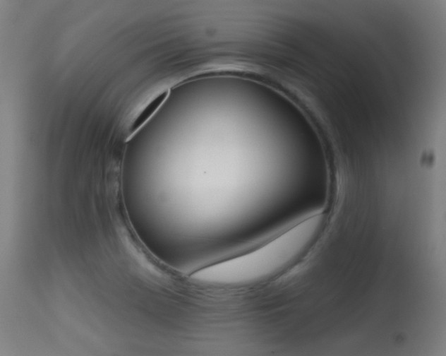X0000113361369200909221149