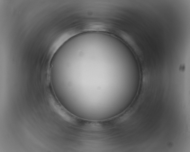 X0000113361370200909221149