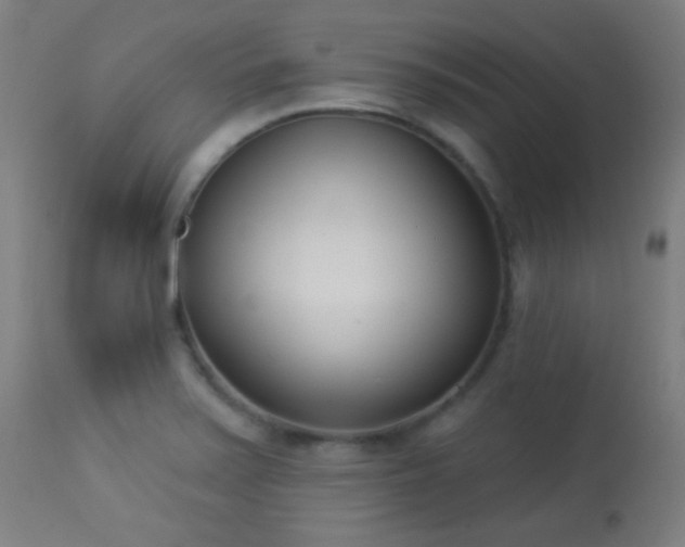 X0000113361371200909221149