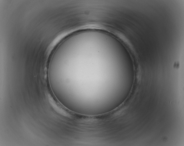 X0000113361372200909221149