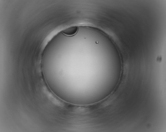 X0000113361374200909221149