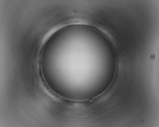 X0000113361375200909221149