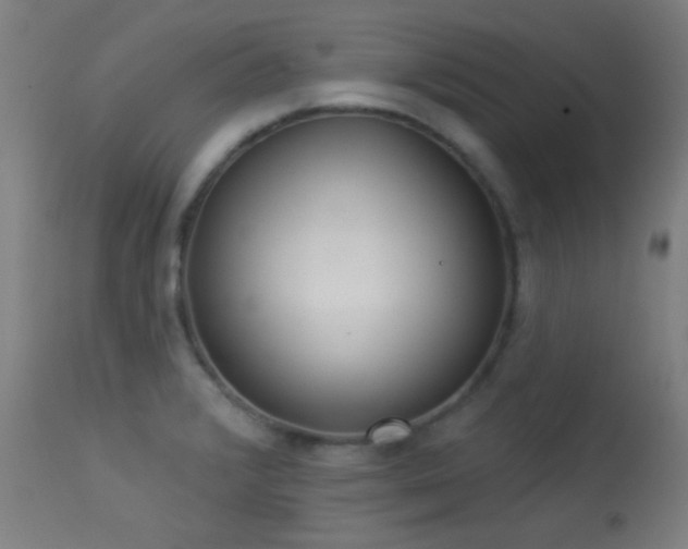 X0000113361376200909221149
