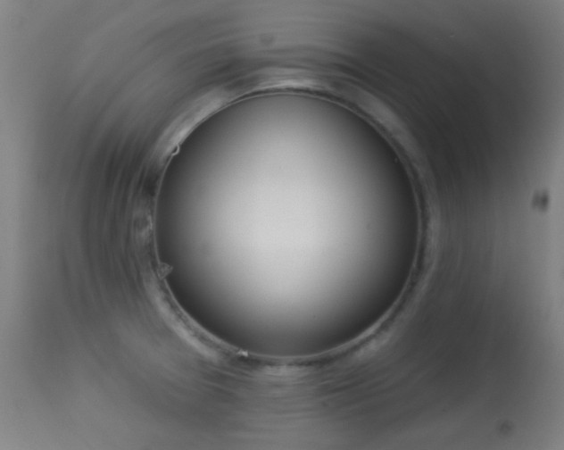 X0000113361377200909221149
