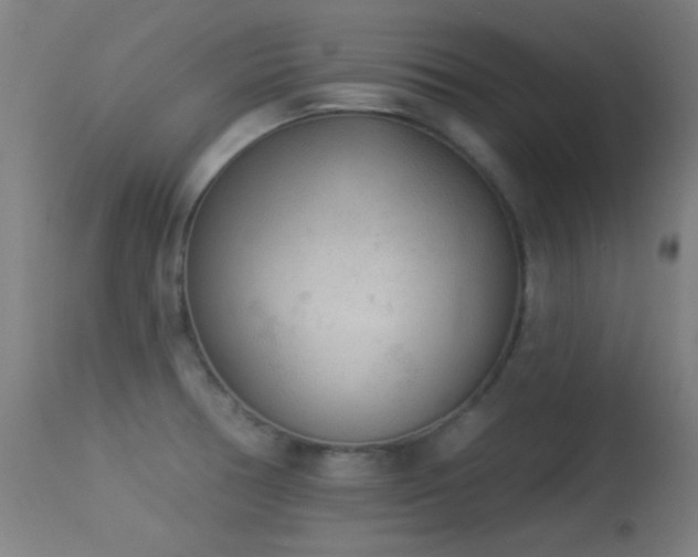 X0000113361378200909221149