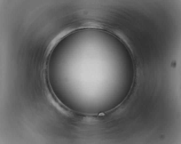 X0000113361379200909221148