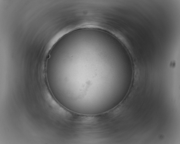 X0000113361382200909221148