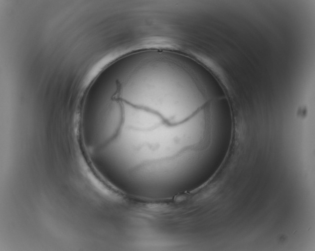 X0000113361383200909221148