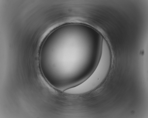 X0000113361384200909221148