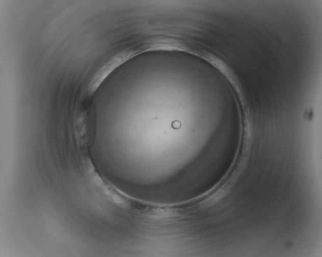 X0000113361385200909221148