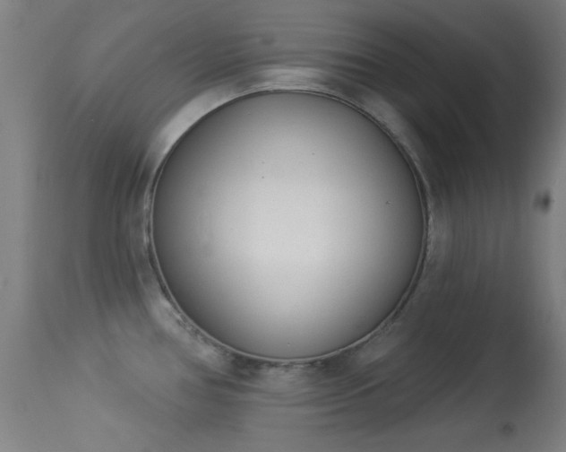 X0000113361386200909221148