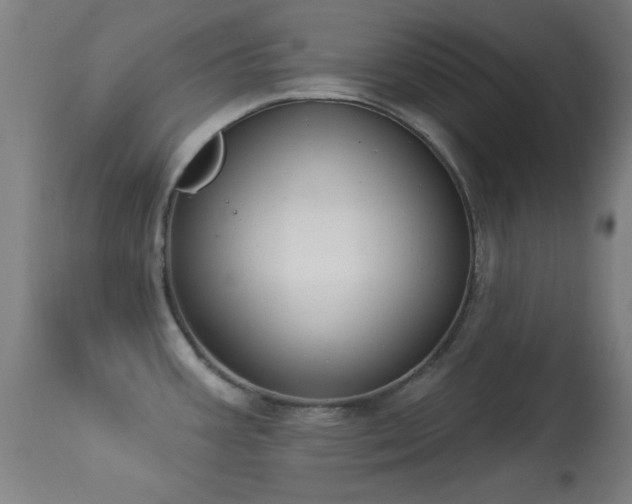 X0000113361387200909221148