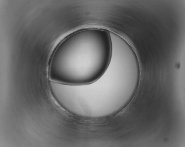 X0000113361388200909221148