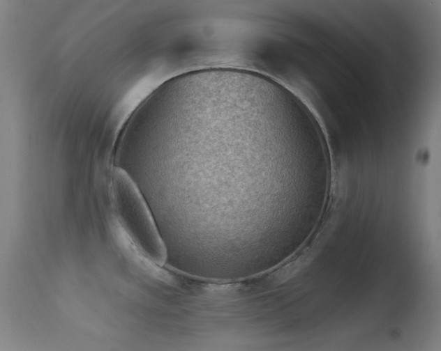 X0000113361389200909221148