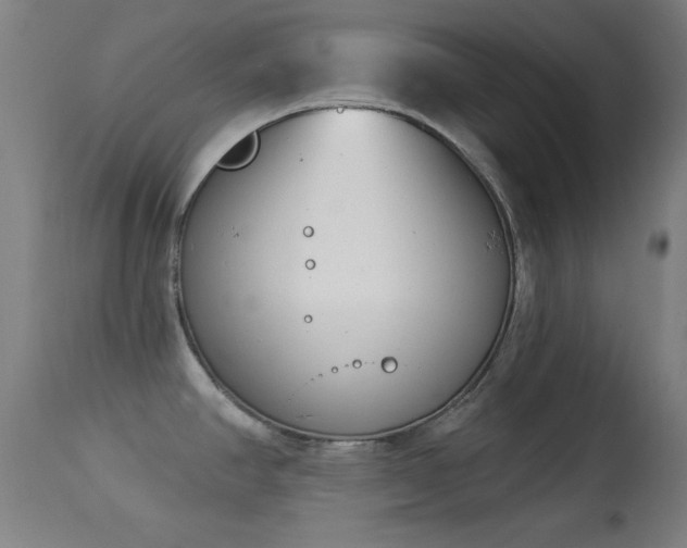 X0000113361390200909221148
