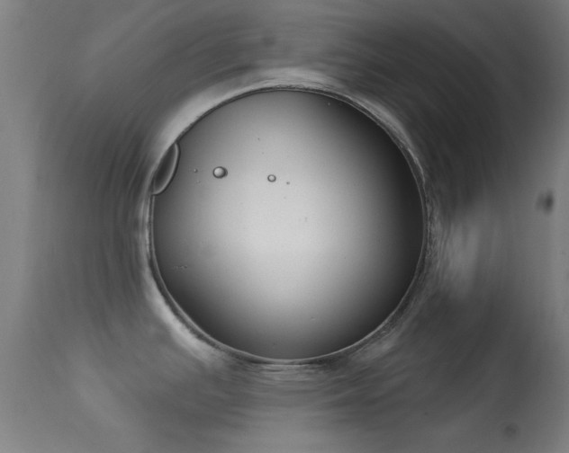 X0000113361391200909221148