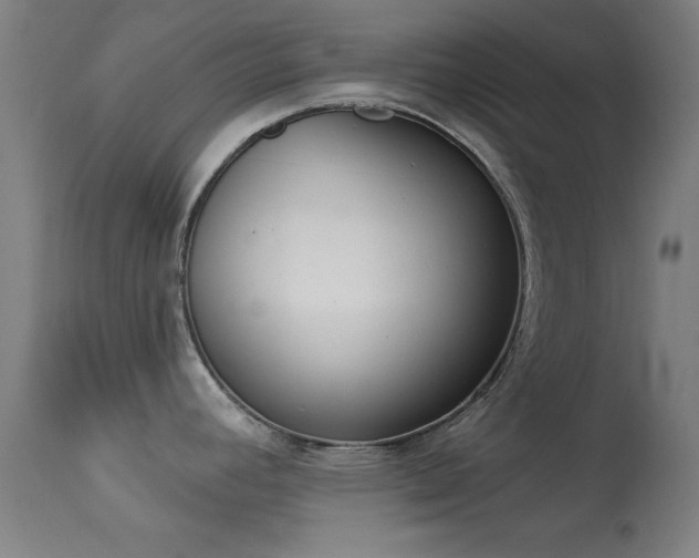 X0000113361392200909221148