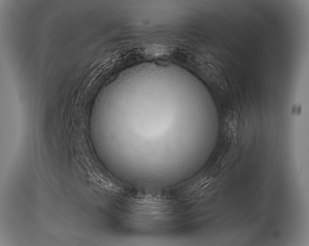 X0000113361393200909221147