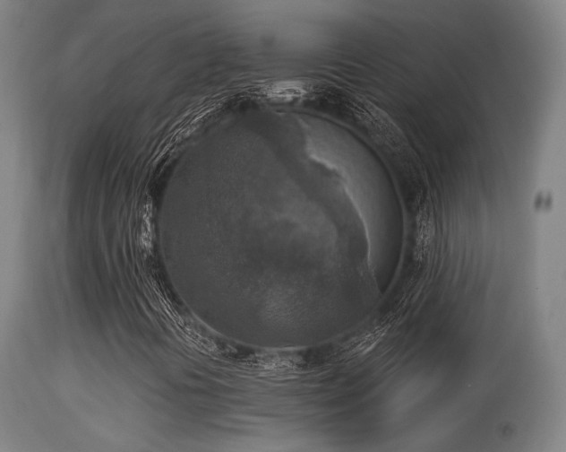 X0000113361394200909221147