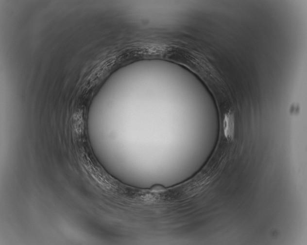 X0000113361395200909221147