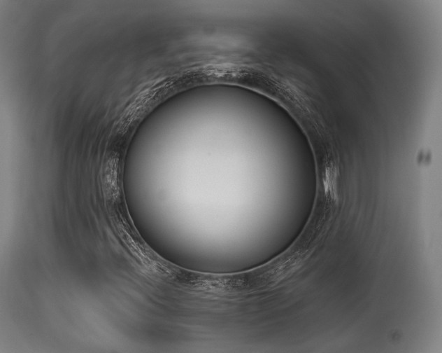 X0000113361396200909221147