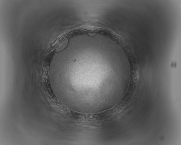 X0000113361397200909221147