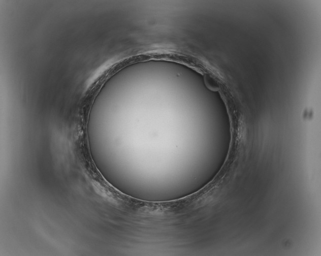 X0000113361400200909221147