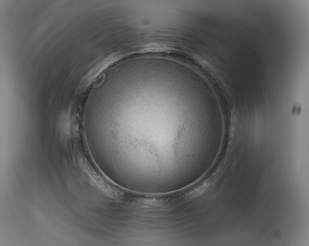 X0000113361401200909221147
