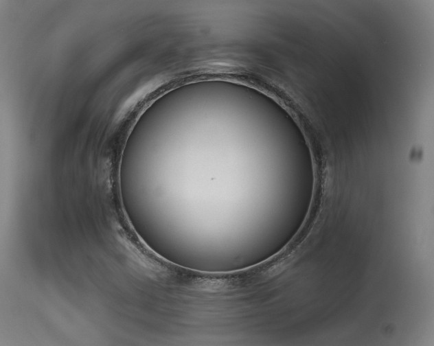 X0000113361402200909221147