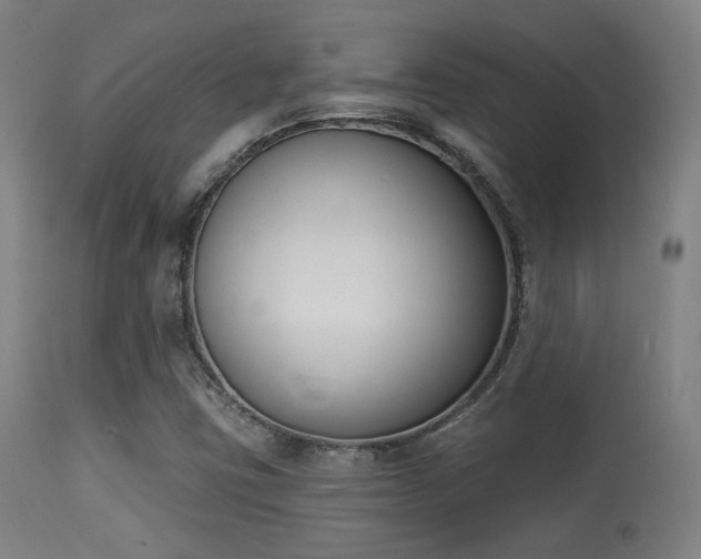 X0000113361403200909221147