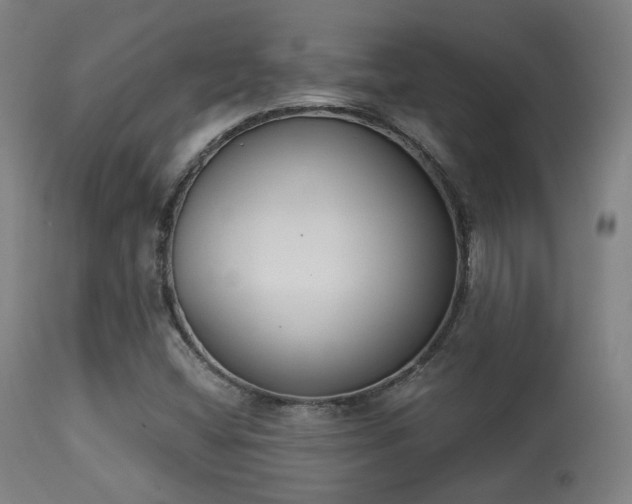 X0000113361404200909221147