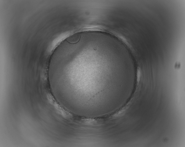X0000113361405200909221147