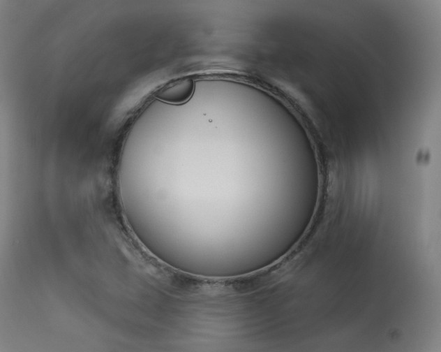 X0000113361407200909221148