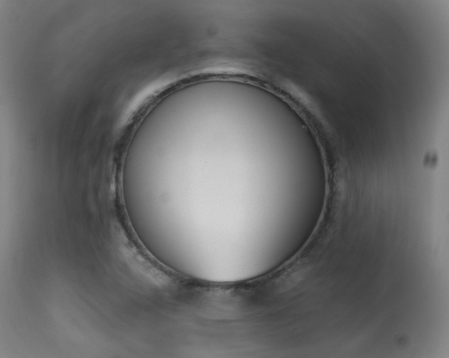 X0000113361408200909221148