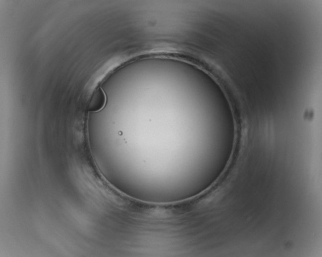 X0000113361409200909221148