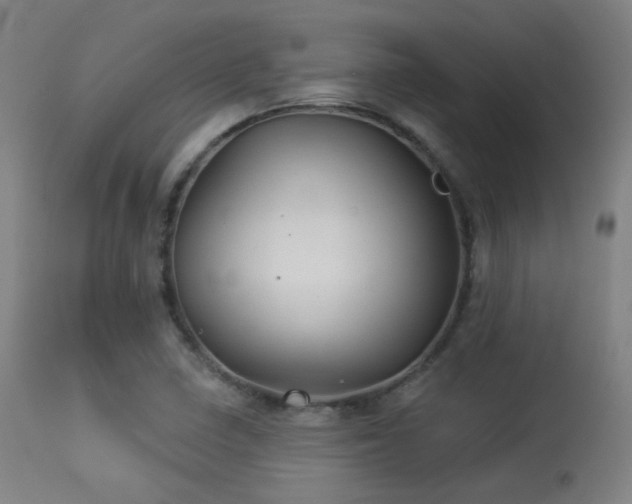 X0000113361410200909221148