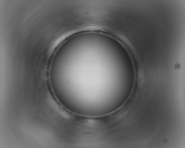 X0000113361412200909221148