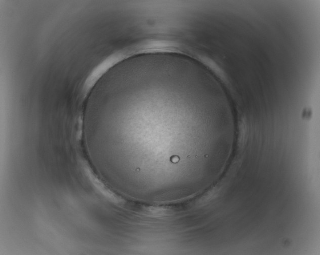 X0000113361413200909221148