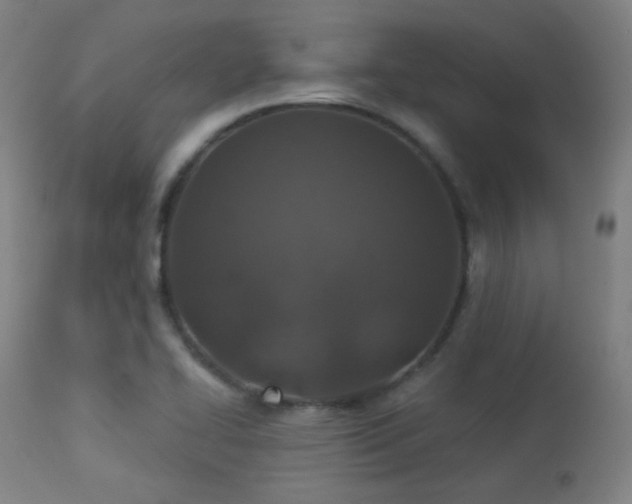 X0000113361414200909221148