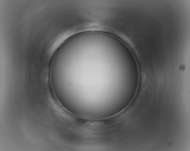 X0000113361415200909221148