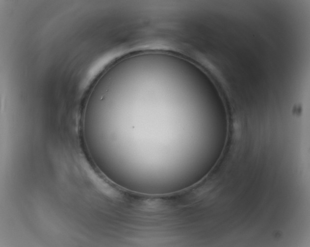 X0000113361416200909221148