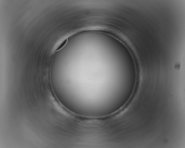 X0000113361417200909221148