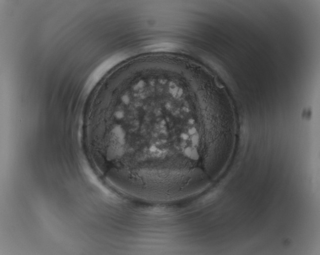 X0000113361418200909221148